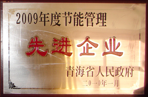 2009年度節(jié)能管理先進企業(yè)